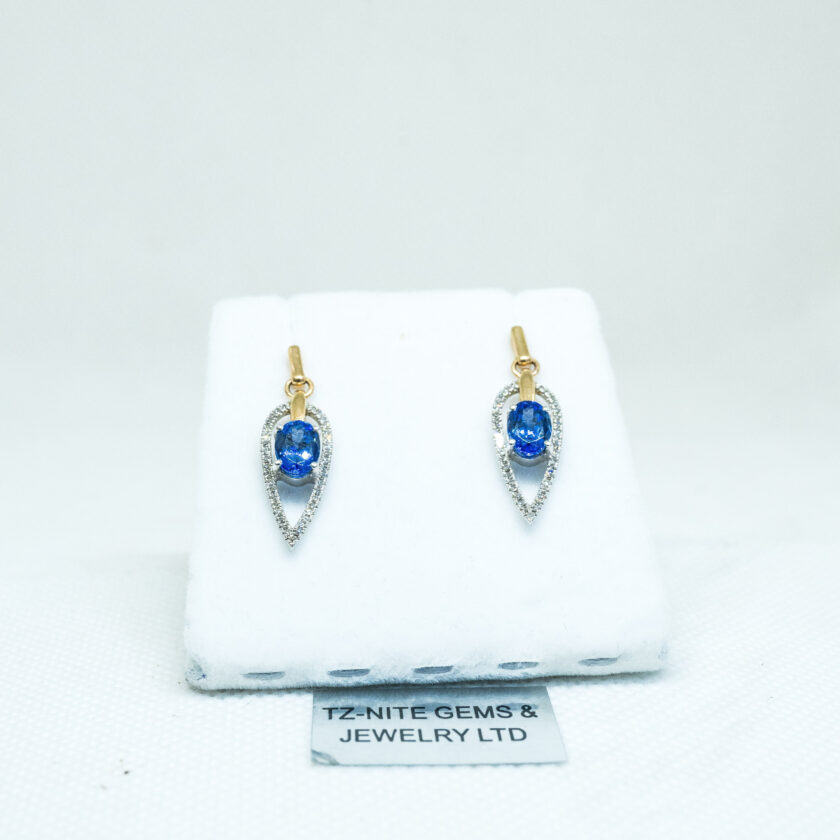 Arquitectura Golden Earrings