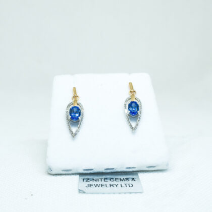 Arquitectura Golden Earrings